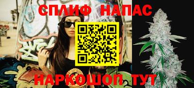 прущие грибы Гусь-Хрустальный