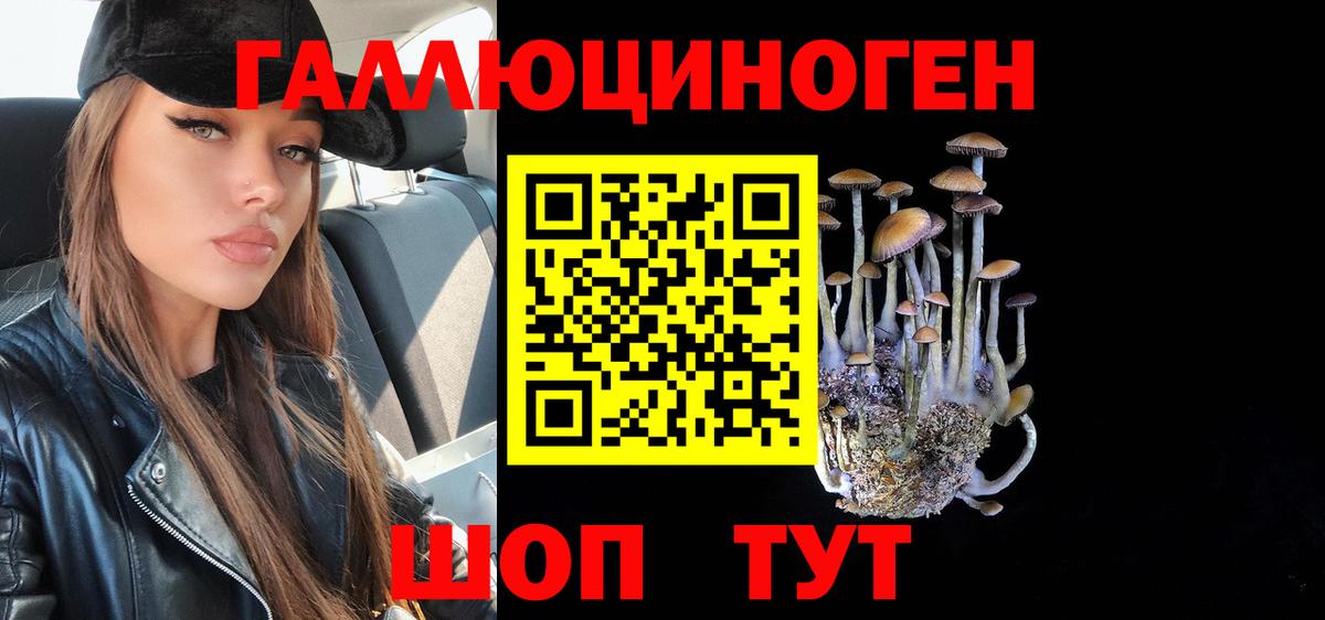 как найти   Вход с VPN  Грязи  Псилоцибиновые грибы MAGIC MUSHROOMS 